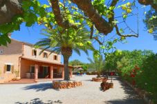 Finca in Campos - Aurelia - Campos