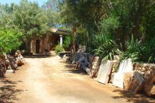 Finca in Campos - Mara - Campos